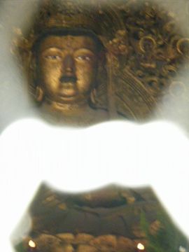 f0120102_1049728.jpg