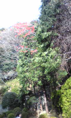 c0180209_1613998.jpg