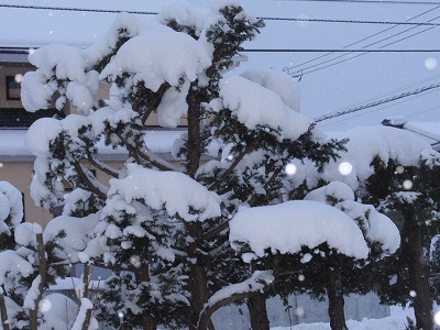 雪かきが始まりました。_f0041909_20374235.jpg