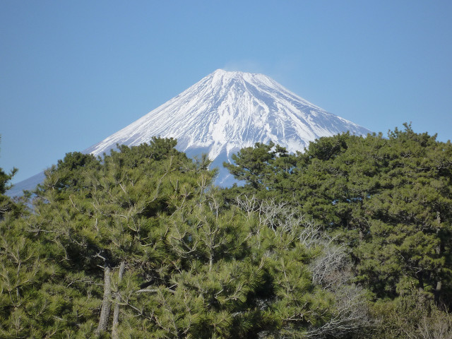 毘沙門天さんで初詣_f0207410_19194197.jpg