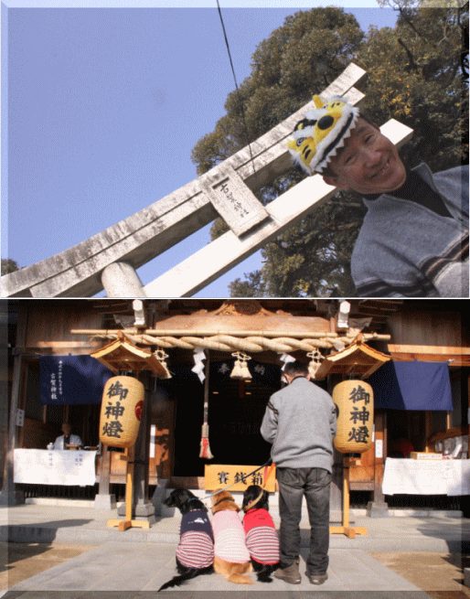 c0017311_16235139.gif
