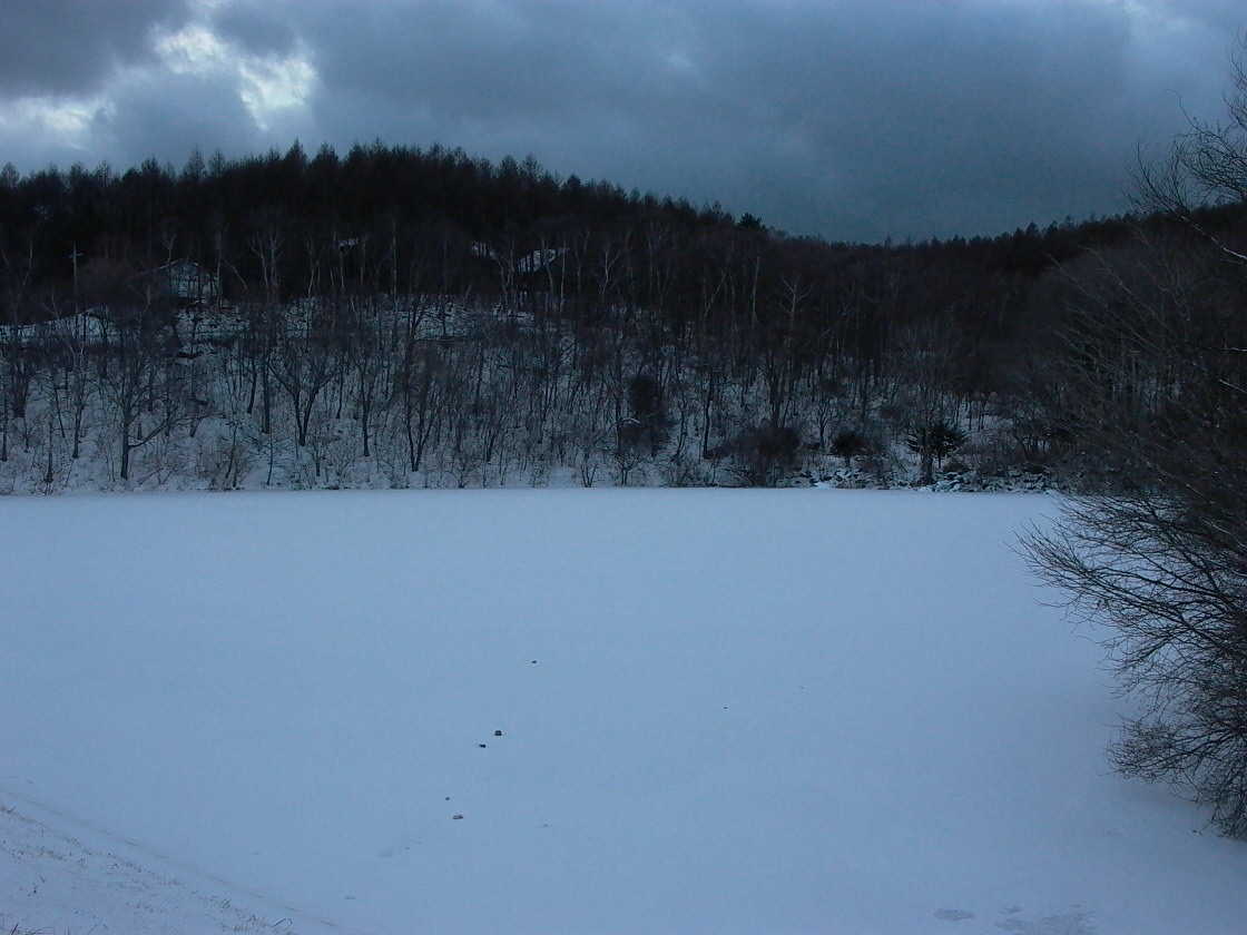 ちらちらと小雪が舞う天気_a0150213_23324458.jpg