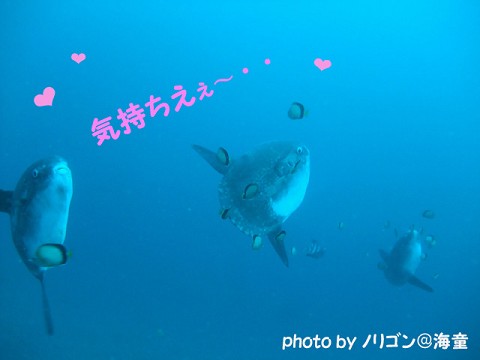 f0046614_20151248.jpg