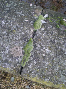 c0124619_10291743.jpg