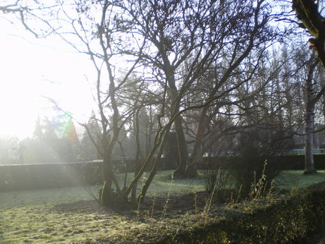 c0124619_10315481.jpg