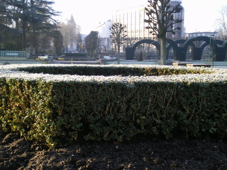 c0124619_10322752.jpg