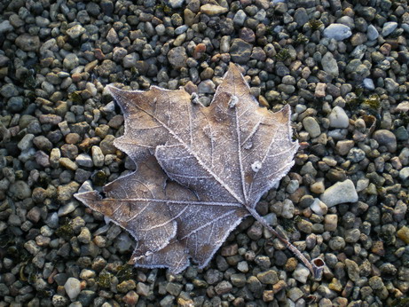 c0124619_10351991.jpg