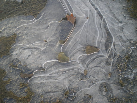 c0124619_10361245.jpg