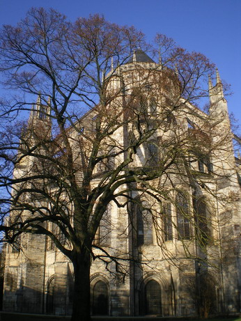 c0124619_1056587.jpg