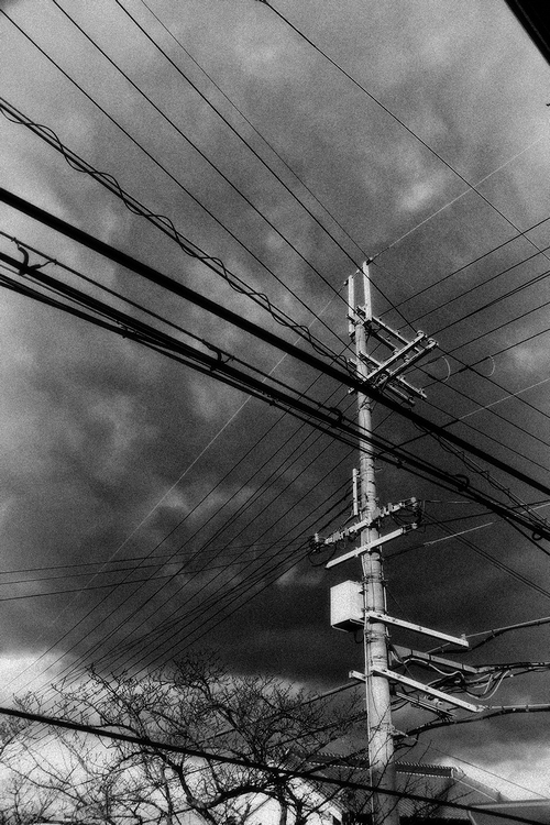 c0198227_172650.jpg