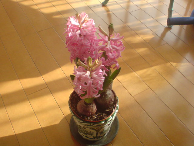 e0016828_9571181.jpg