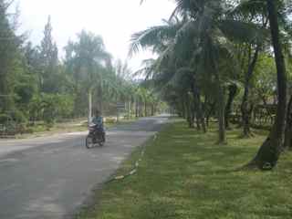 b0063229_1112788.jpg