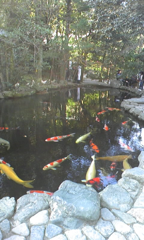b0134529_094428.jpg