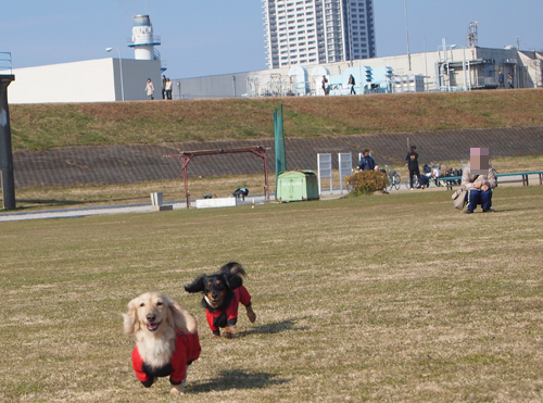 c0117831_20491657.jpg