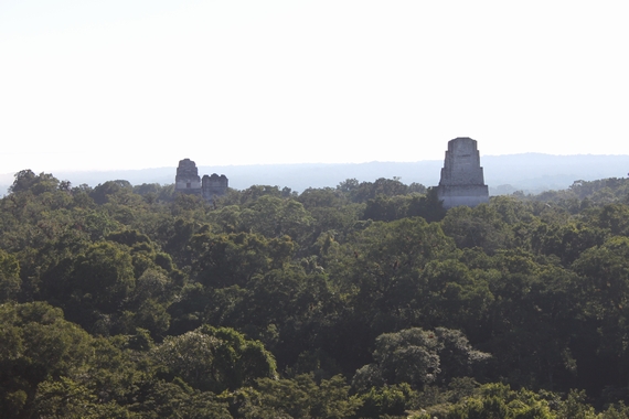 a0133338_4182692.jpg