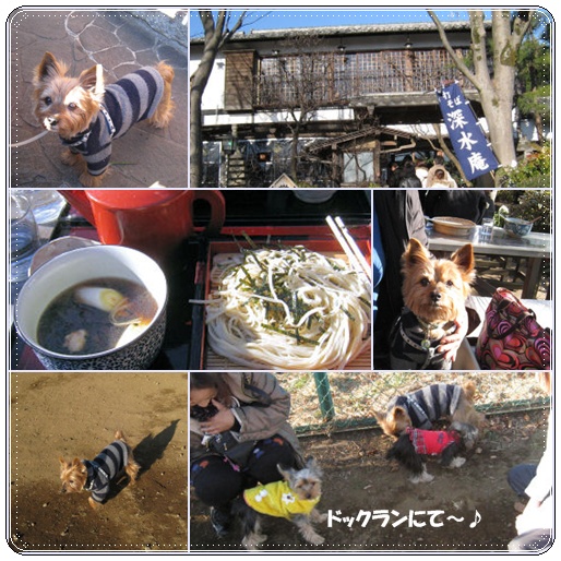 c0033145_23265437.jpg