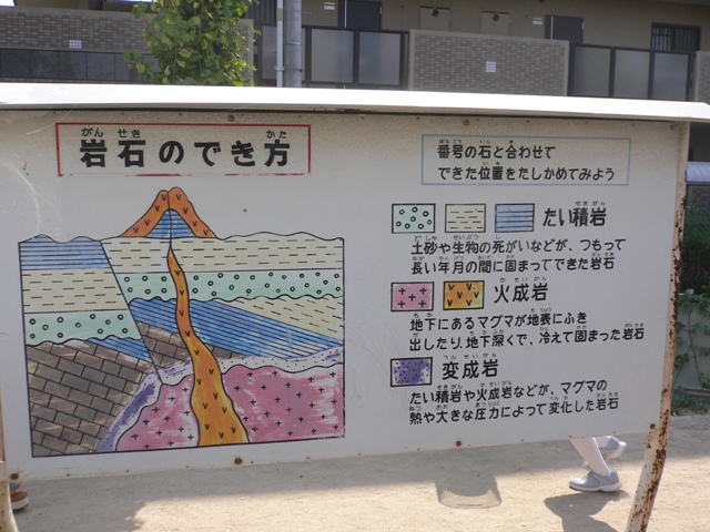 e0118846_184237.jpg