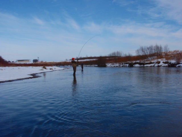 c0097652_19561474.jpg