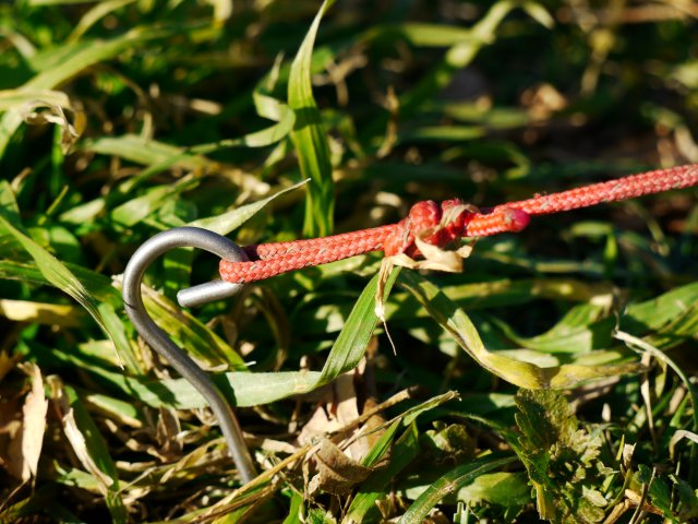 MLD Patrol Shelter & \"e\" Hook Titanium Stake_e0024555_17443646.jpg