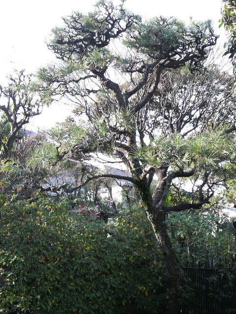 c0185356_10335891.jpg