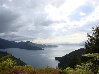 c0185058_458047.jpg