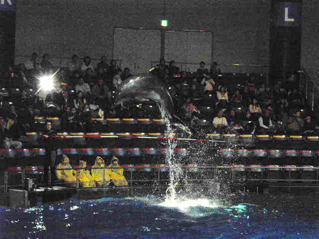 d0116059_1237392.jpg