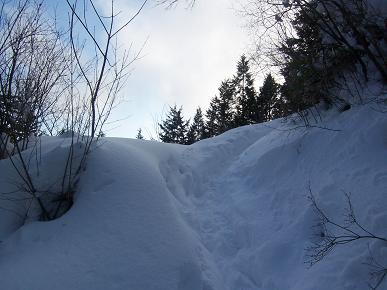 c0084368_11211787.jpg