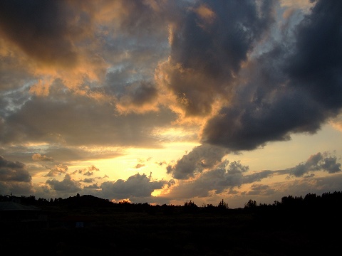 e0003090_2220080.jpg