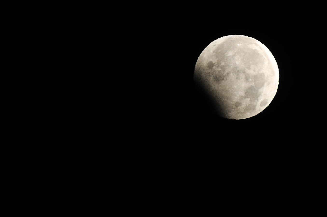 a0157696_178526.jpg