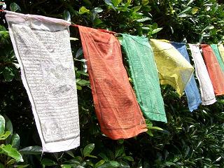 a0057402_07389.jpg