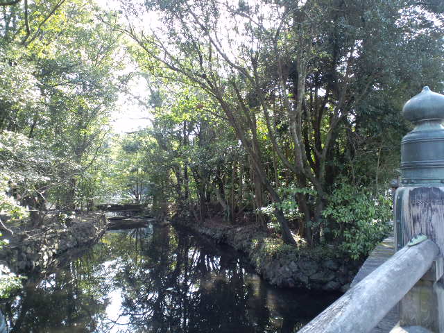 a0088007_1225411.jpg