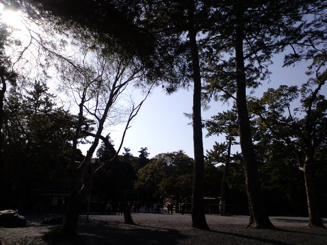 a0088007_1225459.jpg