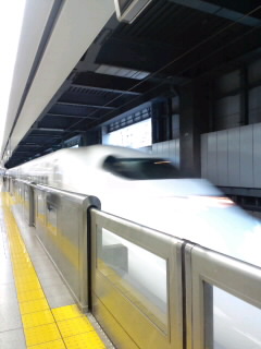 a0088007_8532643.jpg