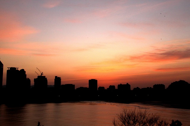 b0061108_8213063.jpg