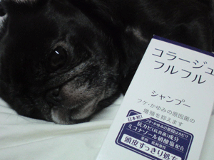 a0074110_2231922.gif