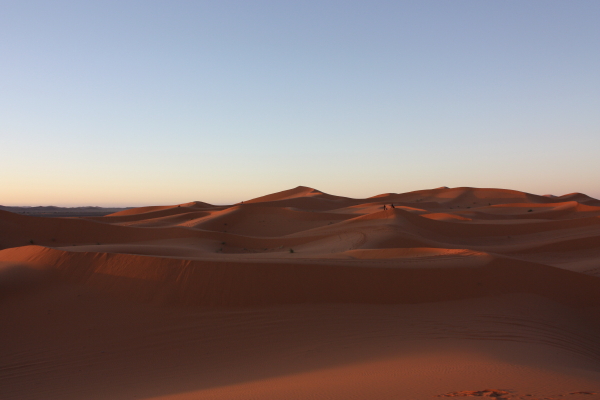 c0209213_911313.jpg