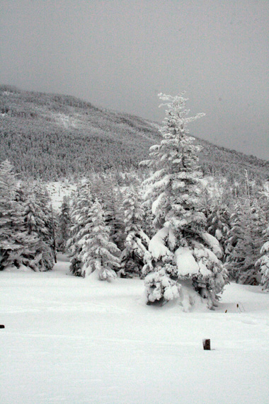d0133320_028345.jpg