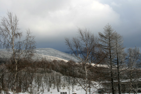 d0133320_0292630.jpg
