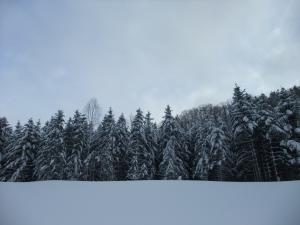 c0227522_21483585.jpg