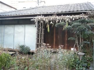 c0039428_23465319.jpg