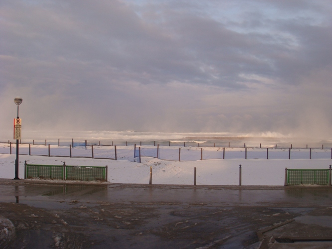 a0040929_2010238.jpg