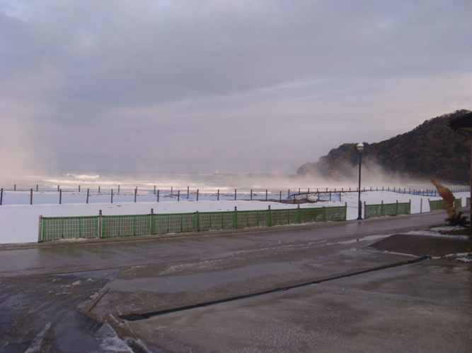 a0040929_20103480.jpg