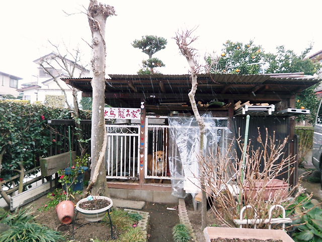 f0045433_12571955.jpg