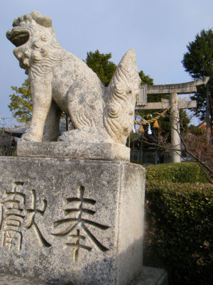 c0069036_1594977.jpg