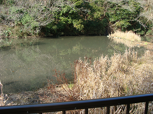 e0142838_11301997.jpg