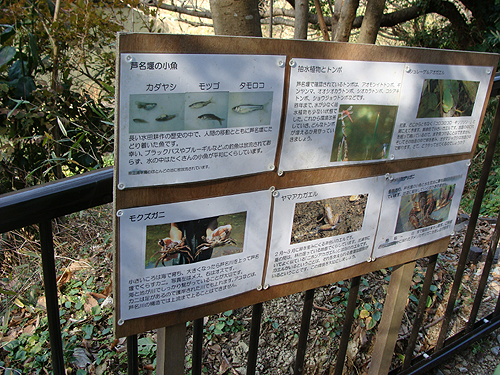 e0142838_1131759.jpg