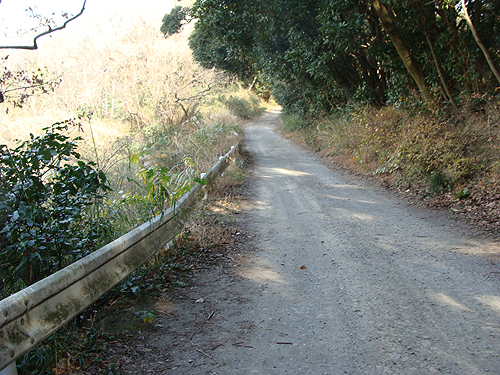 e0142838_11574063.jpg