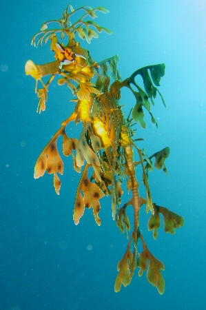 a0150039_2515.jpg