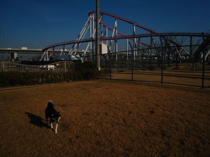 クリスマスキャンプ in 伊勢志摩 其の壱 - キャンプ5回目_f0058241_11274568.jpg