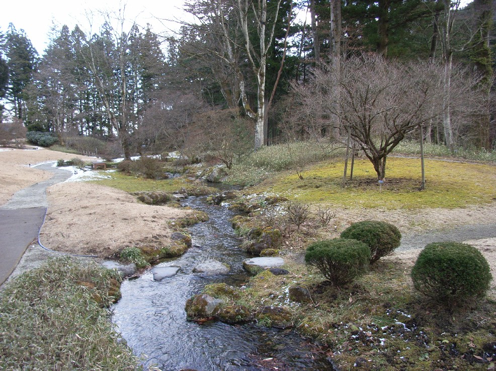 b0169343_236478.jpg